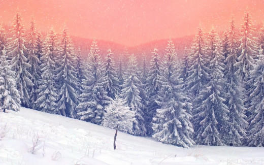 1010539 (a): :2880x1800